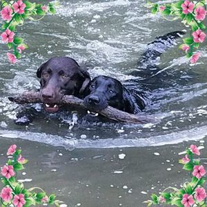 Meet your Posher, Kim